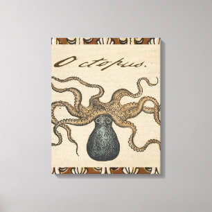 Octopus Kraken Vintage Illustration Canvas Print