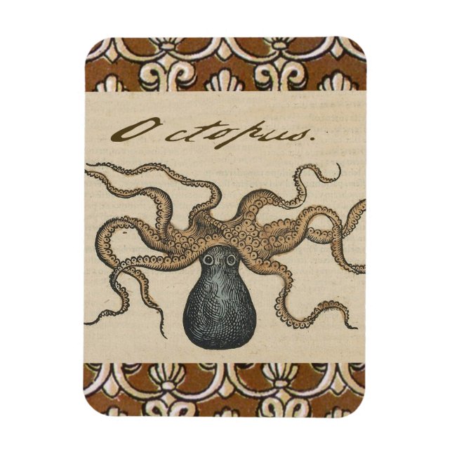 Octopus Kraken Vintage Illustration Magnet (Vertical)
