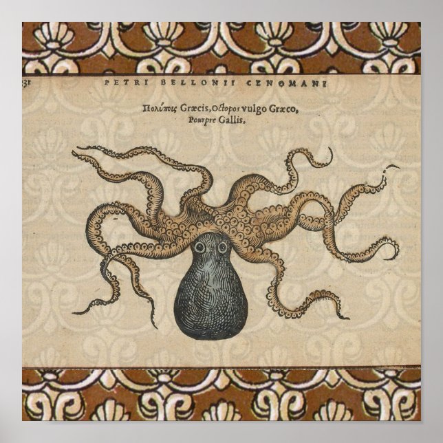 Octopus Kraken Vintage Illustration Poster (Front)