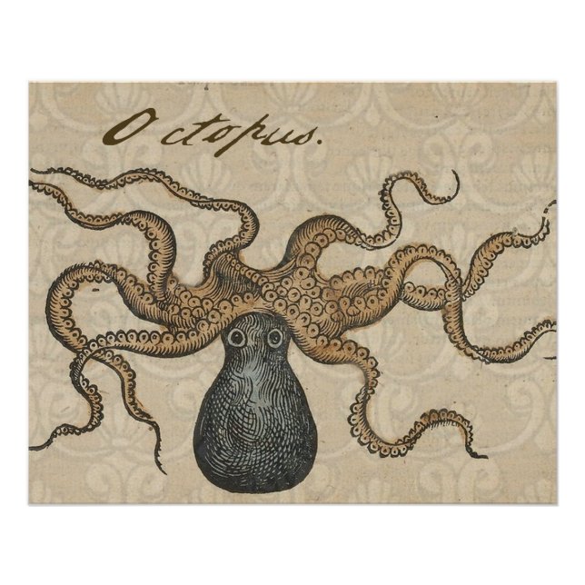Octopus Kraken Vintage Illustration Poster (Front)