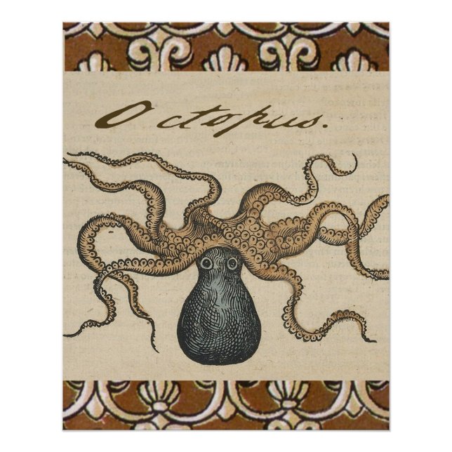 Octopus Kraken Vintage Illustration Poster (Front)