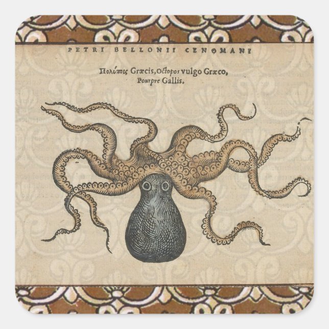 Octopus Kraken Vintage Illustration Square Sticker (Front)