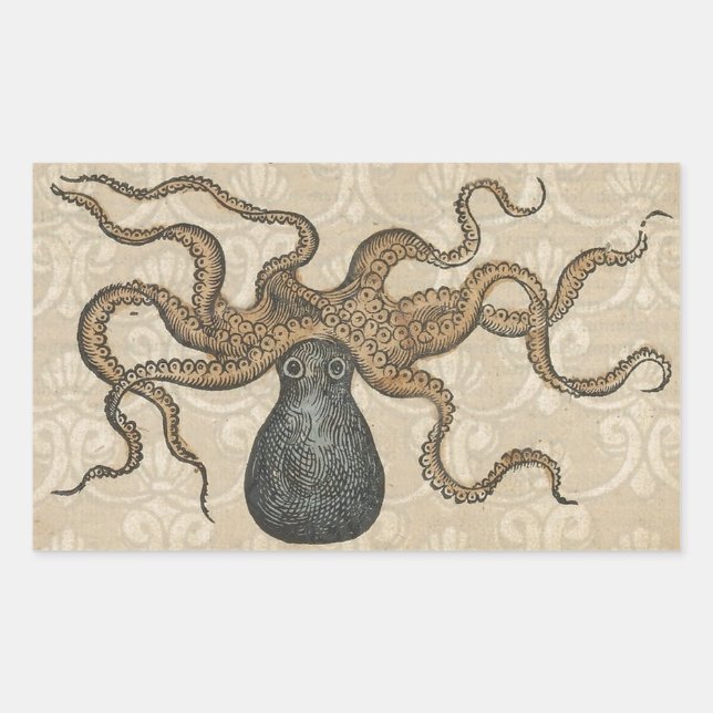 Octopus Kraken Vintage Illustration Sticker (Front)
