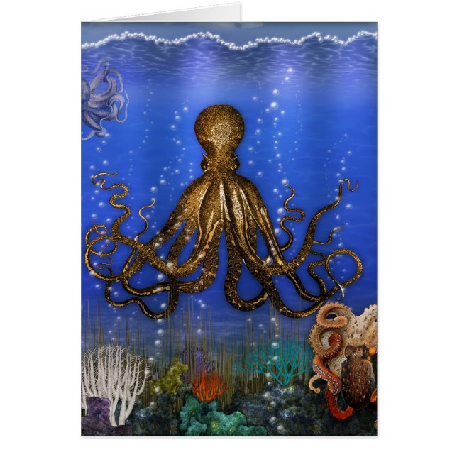 Octopus' Lair - Colourful (Front)