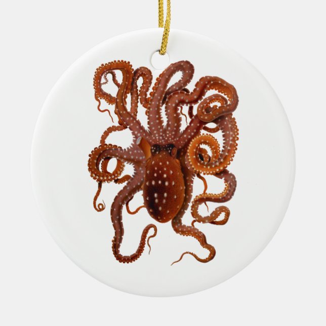 Octopus Macropus Atlantic White Spotted Octopus Ceramic Ornament (Front)