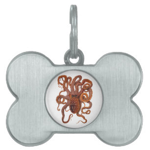 Octopus Macropus Atlantic White Spotted Octopus Pet Name Tag