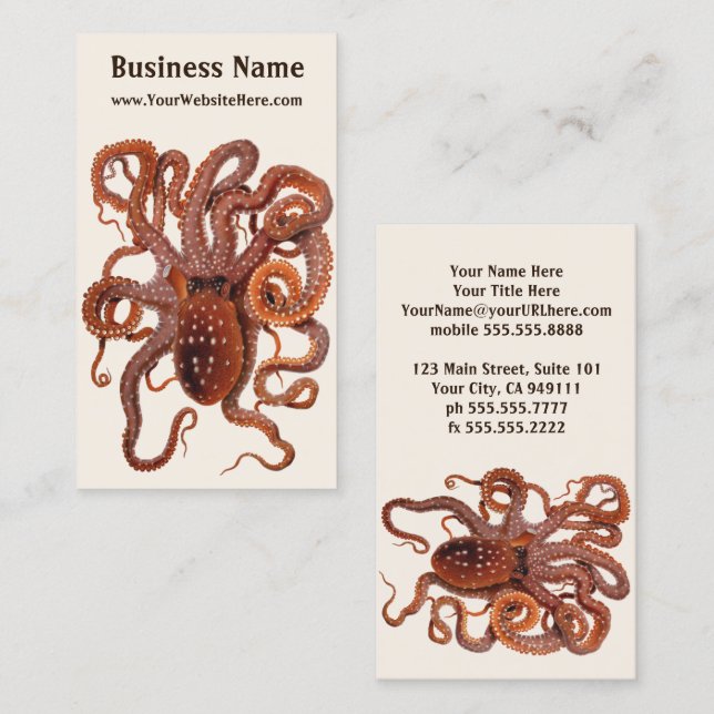 Octopus Macropus, Vintage Marine Aquatic Animals Business Card (Front/Back)