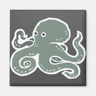 Octopus Magnet