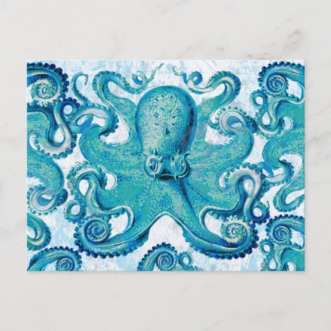 Octopus Marine Life Ocean Animals Beach Nautical Postcard (Front)
