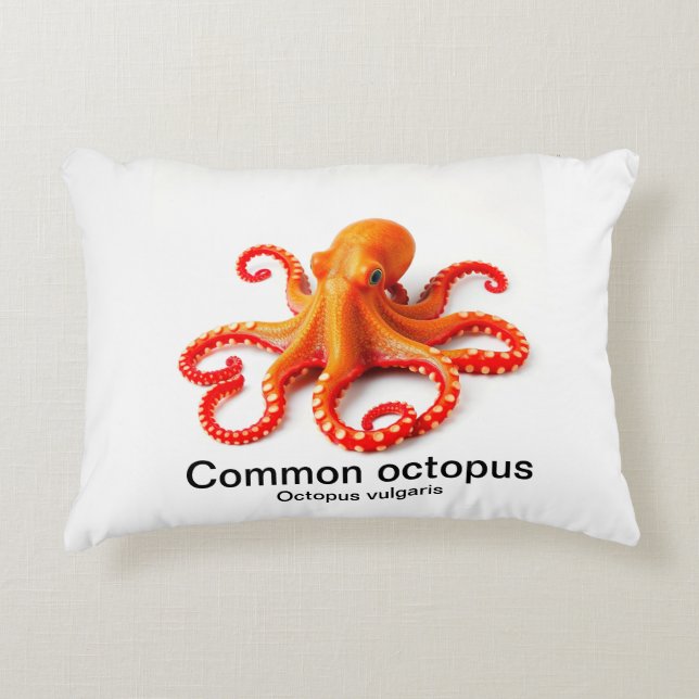 octopus on a pillow (Front)