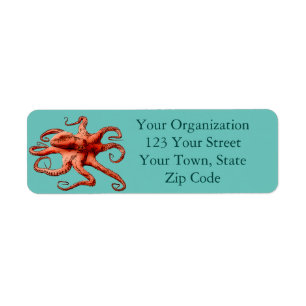 Octopus Pebbles