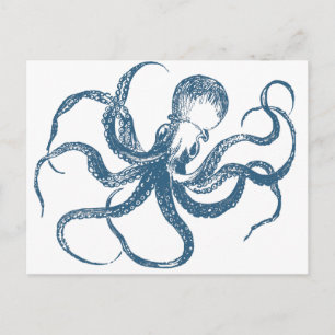 octopus postcard