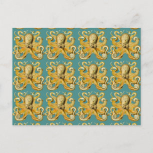 octopus postcard