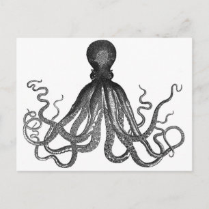 Octopus Postcard
