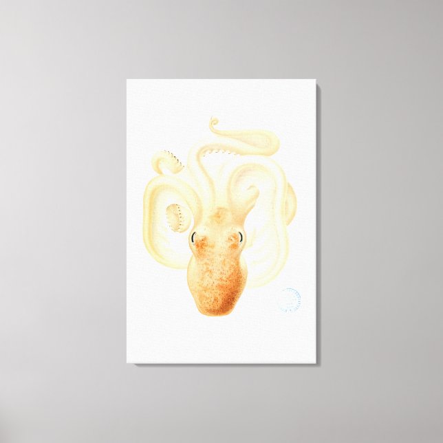 octopus print (Front)