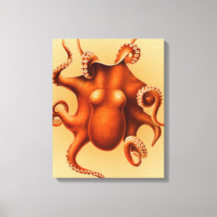 Octopus Sea Monster Creature Cephalapod Vintage Canvas Print