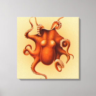 Octopus Sea Monster Creature Cephalapod Vintage Canvas Print