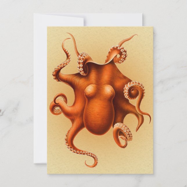 Octopus Sea Monster Creature Cephalapod Vintage Invitation (Front)