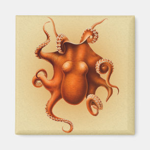Octopus Sea Monster Creature Cephalapod Vintage Magnet