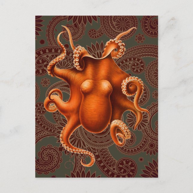 Octopus Sea Monster Creature Cephalapod Vintage Postcard (Front)