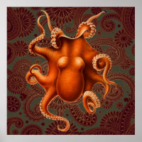 Octopus Sea Monster Creature Cephalapod Vintage