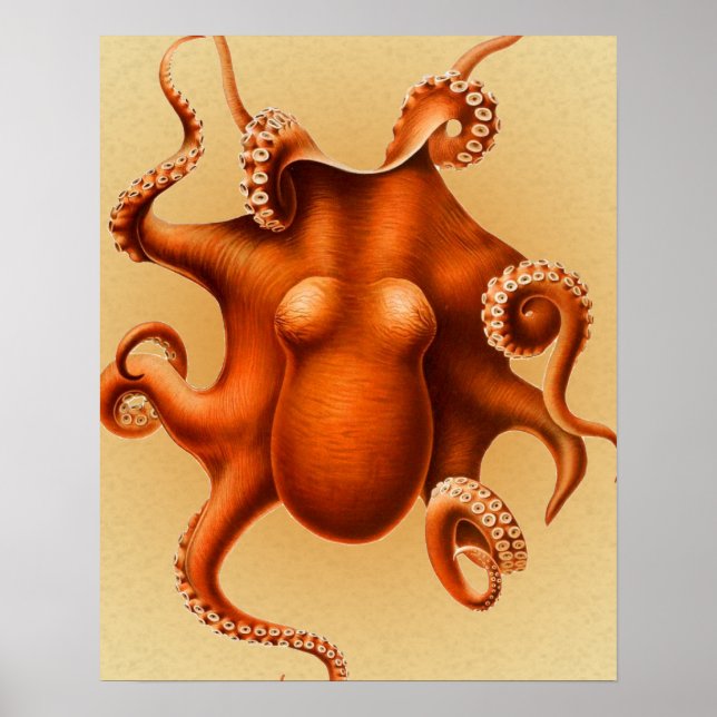 Octopus Sea Monster Creature Cephalapod Vintage Poster (Front)