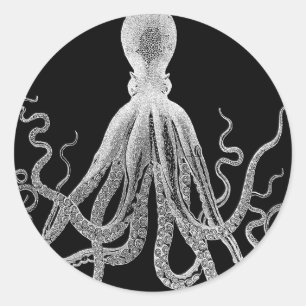 octopus sketch classic round sticker