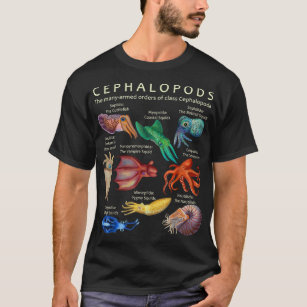 Octopus, Squid, Cuttlefish, and Nautilus T-Shirt
