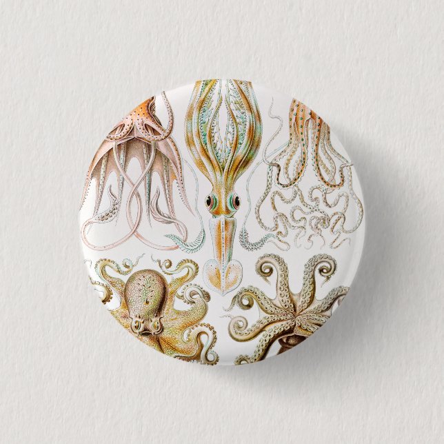 Octopus Squid, Gamochonia by Ernst Haeckel 1 Inch Round Button (Front)