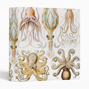 Octopus Squid, Gamochonia by Ernst Haeckel Binder