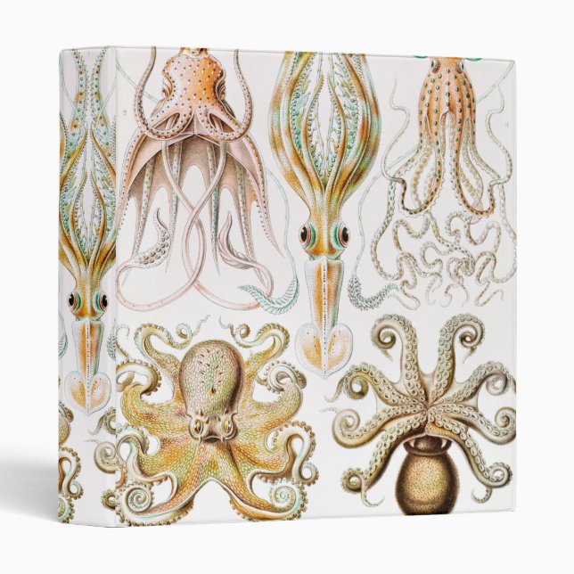 Octopus Squid, Gamochonia by Ernst Haeckel Binder (Front/Spine)