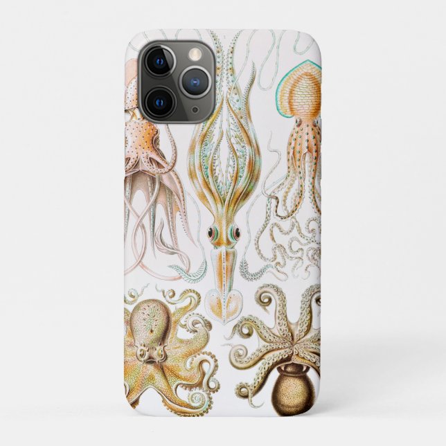 Octopus Squid, Gamochonia by Ernst Haeckel Case-Mate iPhone Case (Back)