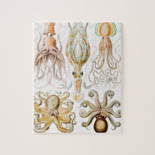 Octopus Squid, Gamochonia by Ernst Haeckel Jigsaw Puzzle