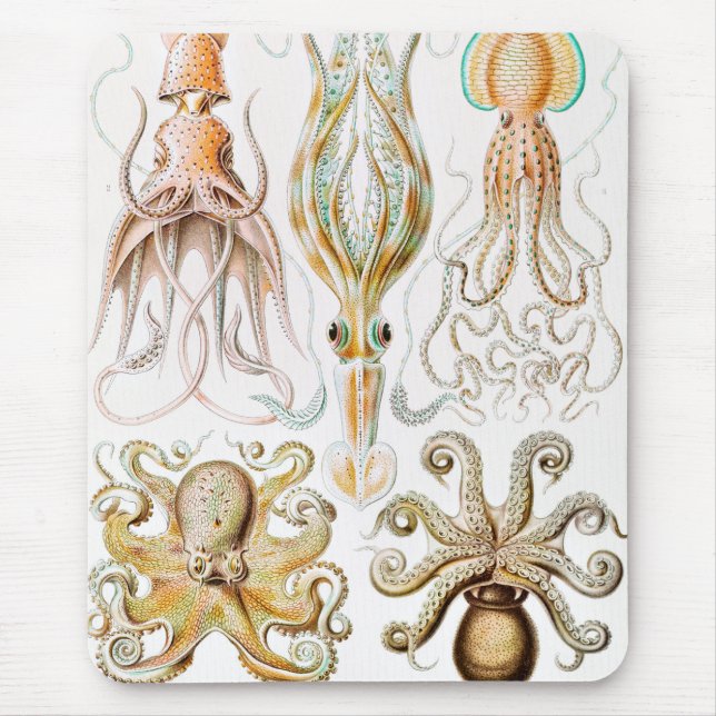 Octopus Squid, Gamochonia by Ernst Haeckel Mouse Pad (Front)