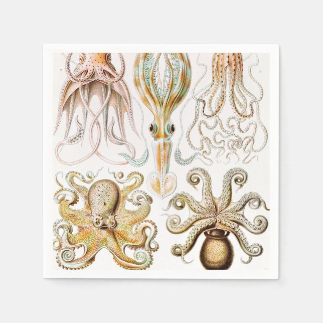 Octopus Squid, Gamochonia by Ernst Haeckel Napkin (Front)