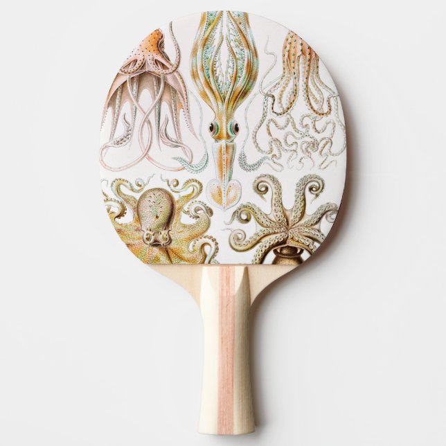 Octopus Squid, Gamochonia by Ernst Haeckel Ping Pong Paddle (Front)