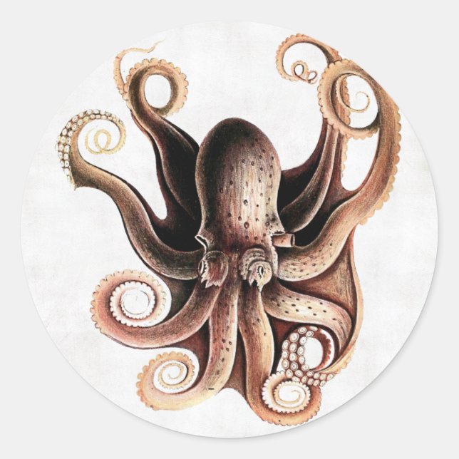 Octopus Sticker (Front)