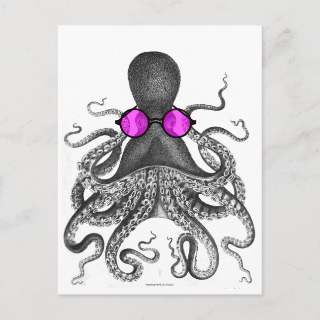 Octopus Sunglasses Curiosity Postcard (Front)