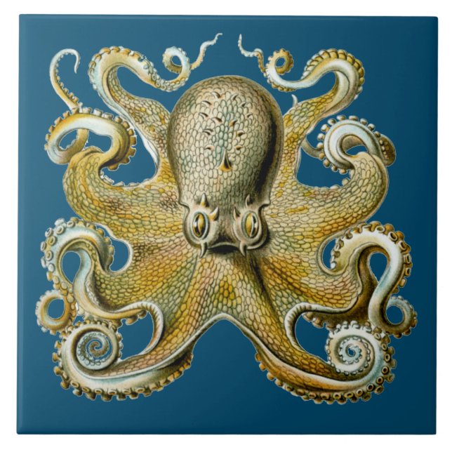 Octopus Tile (Front)