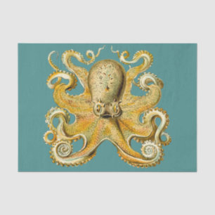 octopus tissue paper