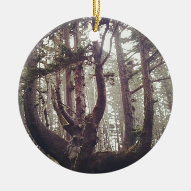 Octopus Tree, Cape Meares, Oregon Ceramic Ornament (Front)
