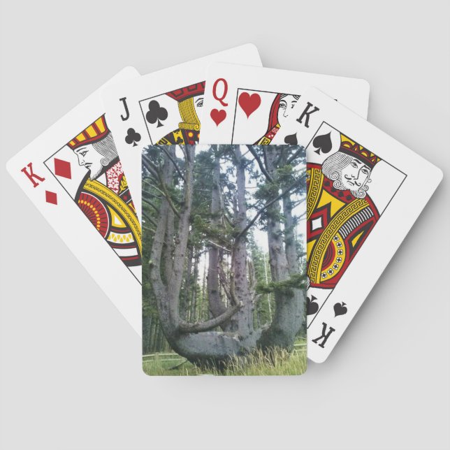 Octopus Tree, Cape Meares, Oregon Playing Cards (Back)