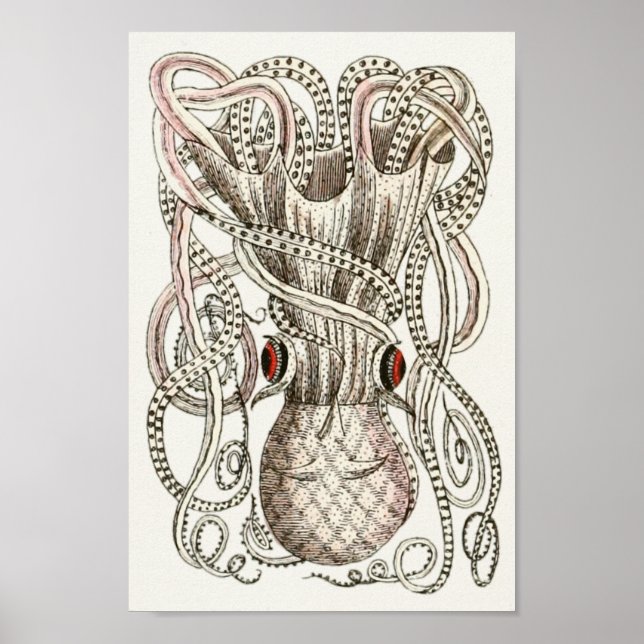Octopus Vintage Cephalopod Sea Creatures Art Print (Front)