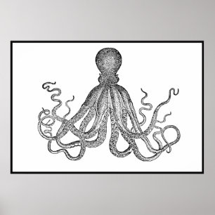 Octopus vintage En Blanc Et Noir Poster