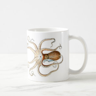Octopus vulgaris coffee mug