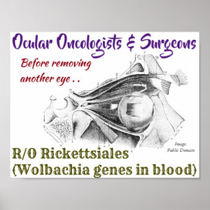 Ocular Oncologists/Surgeons R/O Wolbachia by Rose Poster