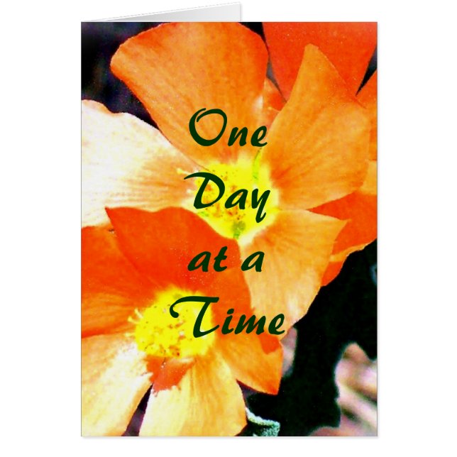 ODAT "Juste une mauvaise herbe" (Devant)