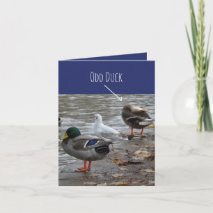 Odd Duck Happy Birthday Card