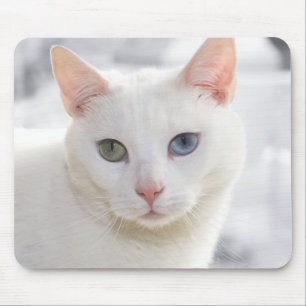 odd-eyed white cat close up face mouse pad