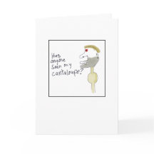 Odd Illustrated Missing Cantaloupe